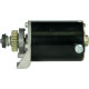 Motor de arranque Briggs & Stratton 111902_2