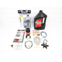 Kit de mantenimiento Mercury 35 CV EFI JET 4T Injection 300h-2