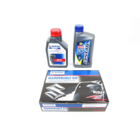 Kit de mantenimiento Suzuki DF4A 100h