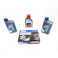 Kit de mantenimiento Suzuki DF9.9B 100h