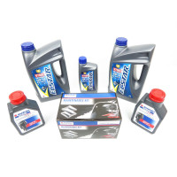 Kit de mantenimiento Suzuki DF150AP 100h