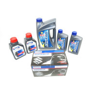 Kit de mantenimiento Suzuki DF100A 100h