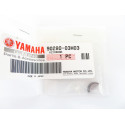 Kit de mantenimiento Yamaha FT50C