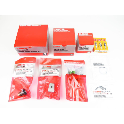 Kit de mantenimiento Yamaha F30B