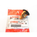 Kit de mantenimiento Yamaha F100F